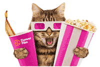 Denverfilmfestival Sticker by Denver Film