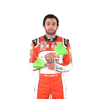 Chase Elliott Racing Sticker by LLumar Films