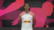 Rb Leipzig Hello GIF by Bundesliga