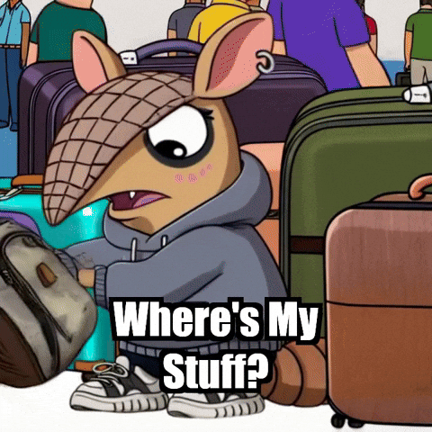 Travel Adventure GIF by Chillo Dillo