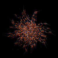 xponentialdesign loop life organic wiggle GIF