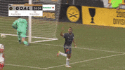 South Carolina Soccer GIF by Charleston Battery