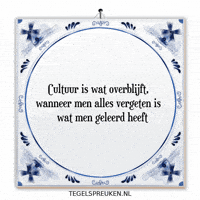 Humor Nl GIF by Tegelspreuken.nl