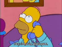 homer simpson episode 13 GIF