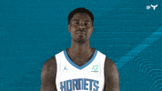 North Carolina Sport GIF by Charlotte Hornets