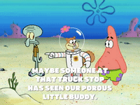season 5 GIF by SpongeBob SquarePants