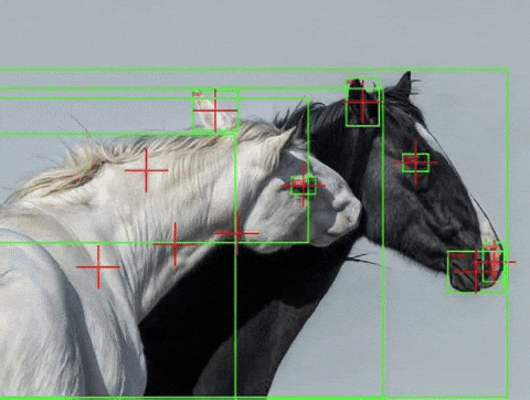 Horse Cyberpunk GIF by Database數據