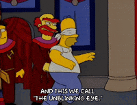 homer simpson GIF