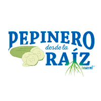 Cucumber Raiz Sticker by Innoval Global