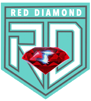 F45 Shrewsbury Red Diamond Sticker by F45Shrewsbury