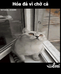 duong-gif14 GIF by Lozi Singapore Co.