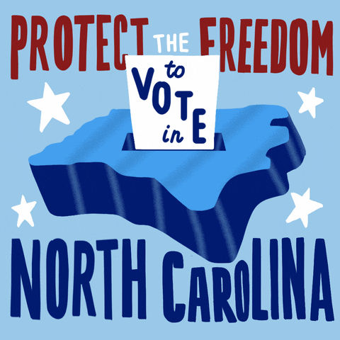 Voting North Carolina GIF by Creative Courage