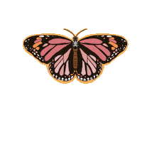 madetodreamco butterfly monarch butterfly cute butterfly madetodream Sticker