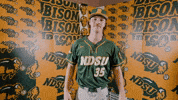 Baseball Bison GIF by NDSU Athletics