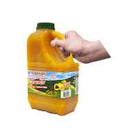 Fruta Sticker by JOTA JOTA FOODS