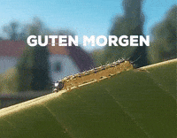 ChaosundKosmosde glitch hi hey hallo GIF