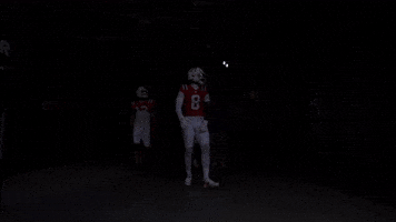 Stefon Diggs Football GIF by New England Patriots