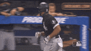 Regular Season Sport GIF by MLB
