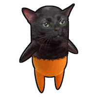 Confused Art Sticker