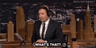 Jimmy Fallon What GIF by The Tonight Show Starring Jimmy Fallon