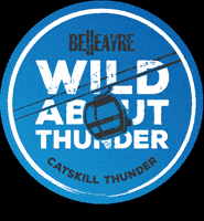 BelleayreMountain belle belleayre belleayre mountain GIF