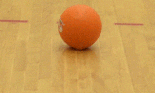throw dodgeball GIF by DC Fray