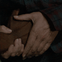 bird box love GIF by NETFLIX