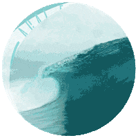 Sticker by Acai Express
