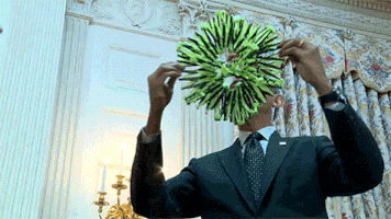 barack obama potus GIF by Obama