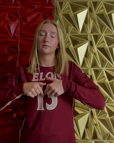 Elon Volleyball GIF by Elon Phoenix