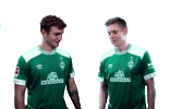 football hello Sticker by SV Werder Bremen