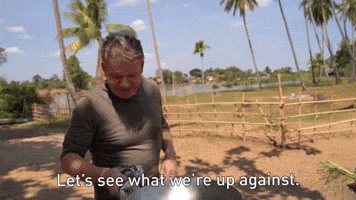 Let's See What We're Up Against