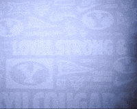 Go Cougs GIF by BYU Cougars