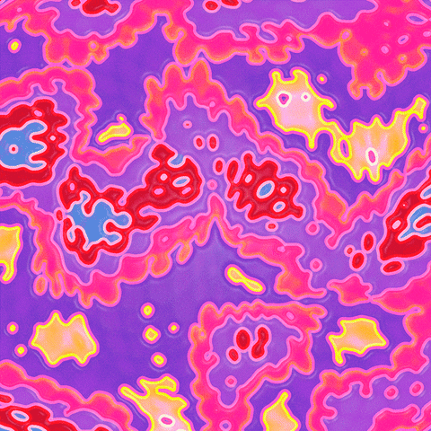 Rainbow Loop GIF by Toke