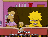 lisa simpson miss hoover GIF