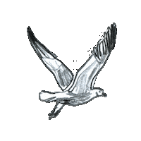 Hamburg Openmouth Sticker by Open Mouth Food Festival