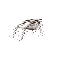 Chair Product Sticker by Studioforma Design
