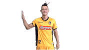 Kevin Fred Sticker by QualidyOficial