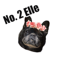 whiskeyandwoof candle frenchie french bulldog scented candle Sticker