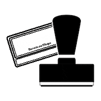 Caracolsorvetenachapa Sticker by Caracol