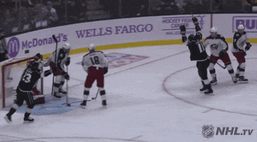 happy ice hockey GIF by NHL