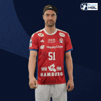 Handball Hamburg GIF by DAIKIN HBL