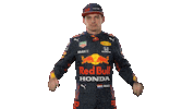 Ver Red Bull Sticker by Oracle Red Bull Racing