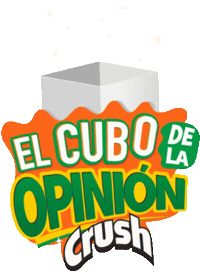 Fun Opinion Sticker by crushorangecl