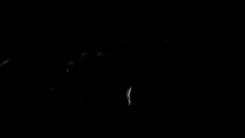 Black And White Hand GIF by Sub Pop Records