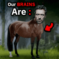 House Md My Brain GIF