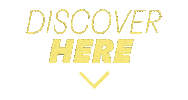 Discover Here Sticker by Henkel