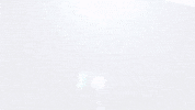 Lucha Libre Wwe GIF by Guerrero Maya