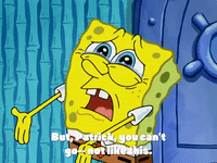 season 4 GIF by SpongeBob SquarePants