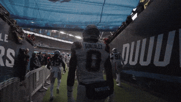 Football Nfl GIF by New England Patriots
